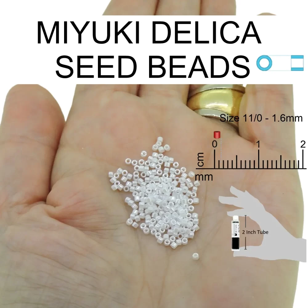 miyuki-delica-size